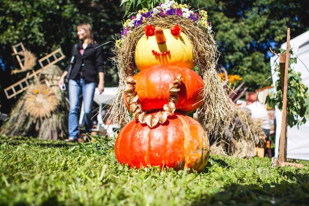 Derliaus šventė „Rudens sambariai 2013“