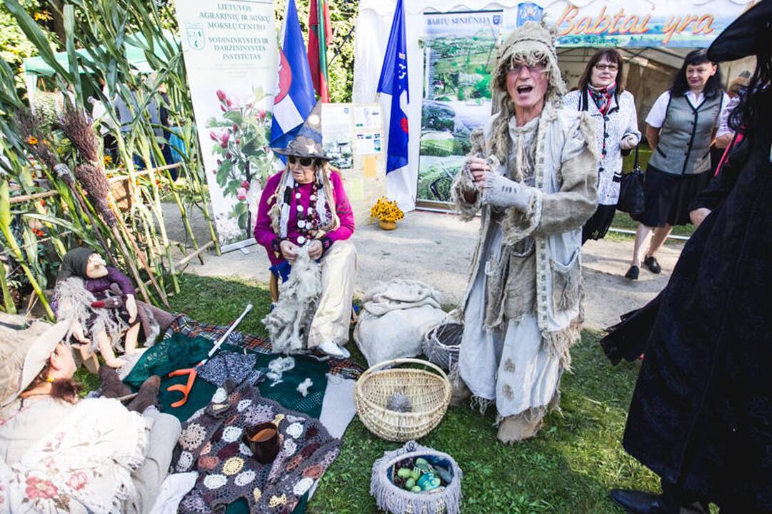 Derliaus šventė „Rudens sambariai 2013“