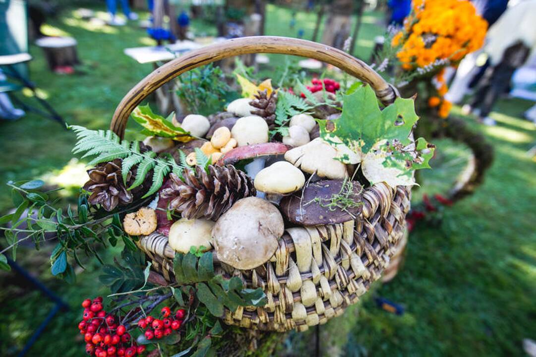 Derliaus šventė „Rudens sambariai 2013“