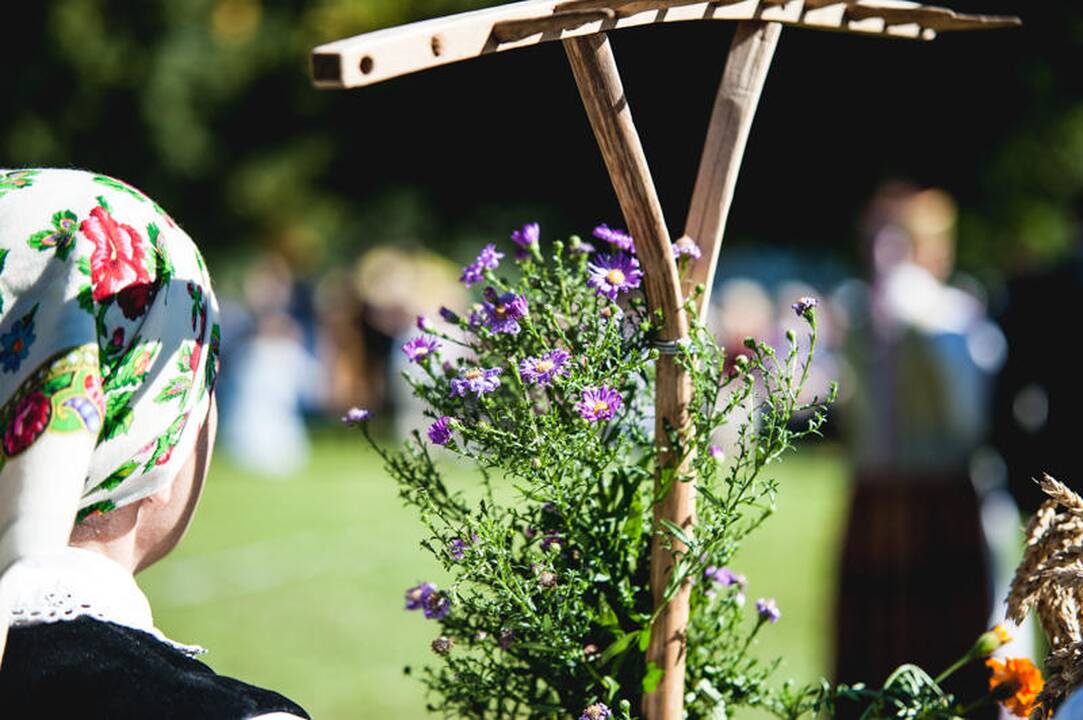 Derliaus šventė „Rudens sambariai 2013“