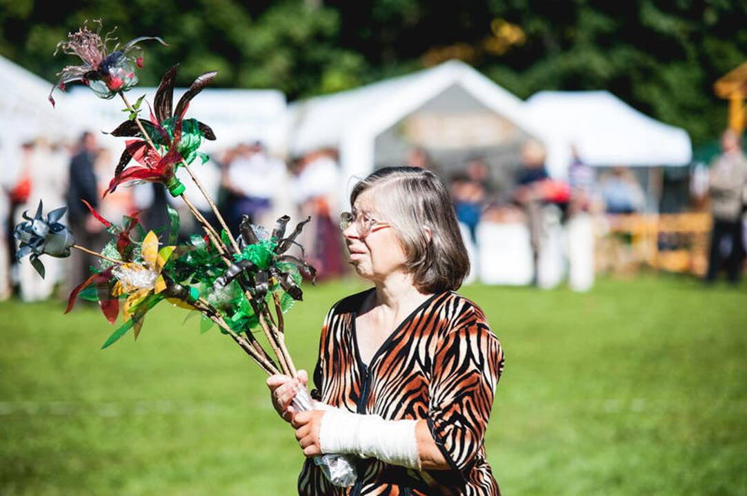 Derliaus šventė „Rudens sambariai 2013“