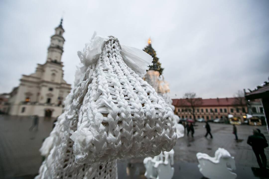 Kauniečiai apžiūrinėja Rotušės aikštės eglutę