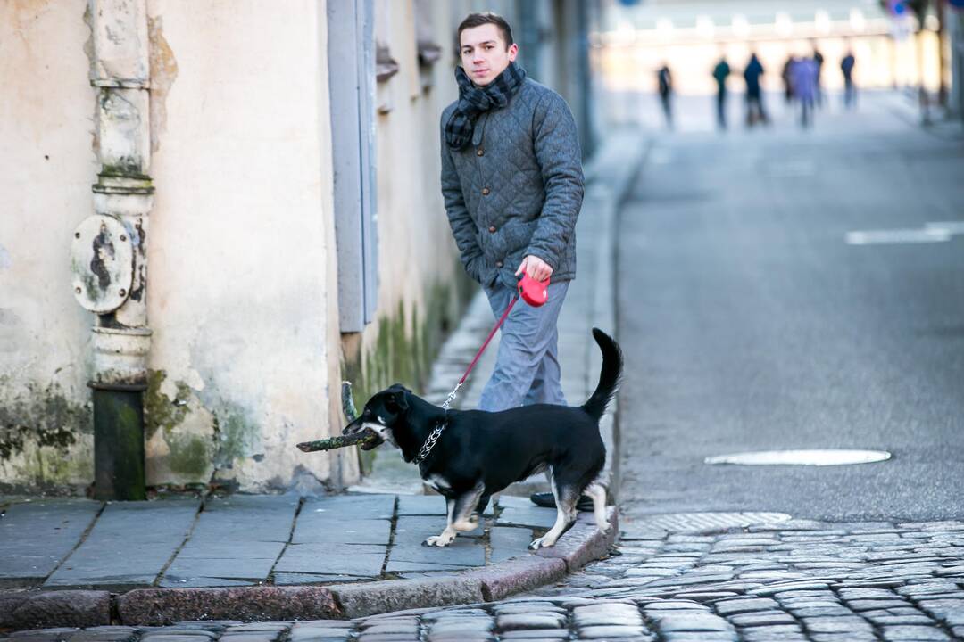 Antra Kalėdų diena Kauno senamiestyje