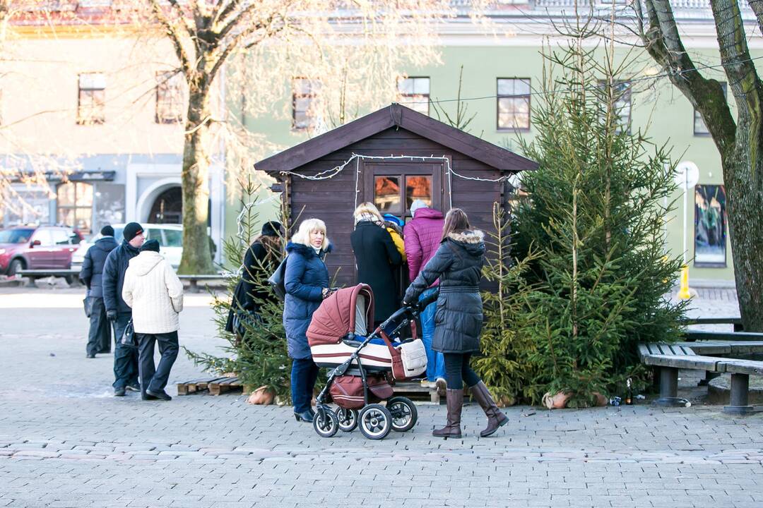 Antra Kalėdų diena Kauno senamiestyje