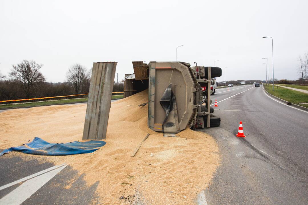Apvirtęs sunkvežimis išbėrė 24 tonas grūdų