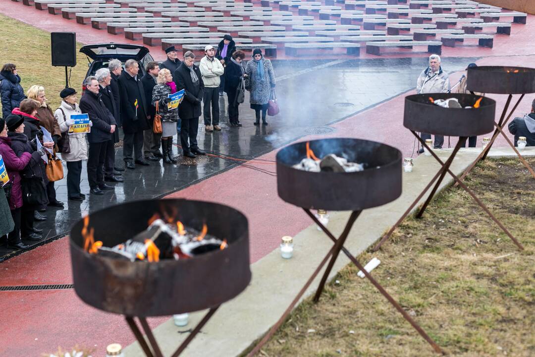 Ukrainos palaikymo akcija
