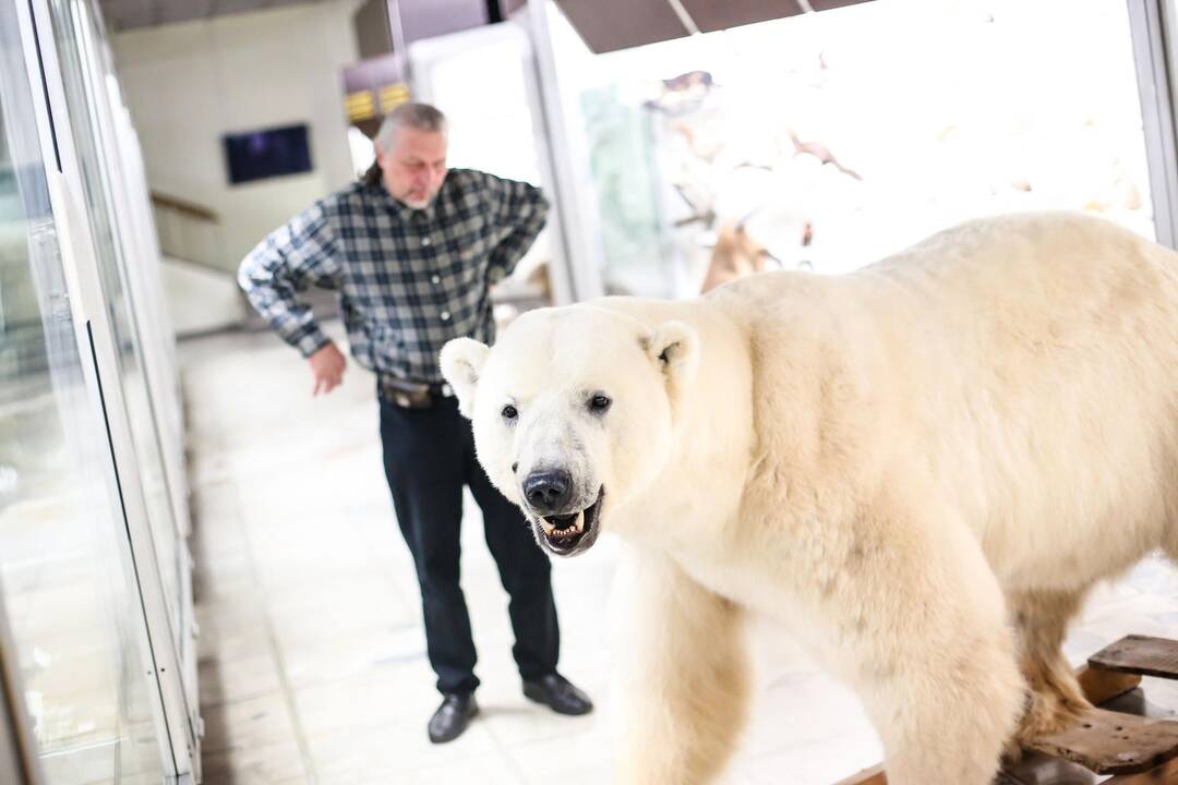 Kasparas persikėlė į T.Ivanausko zoologijos muziejų