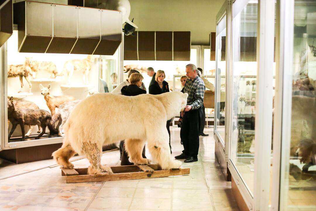 Kasparas persikėlė į T.Ivanausko zoologijos muziejų