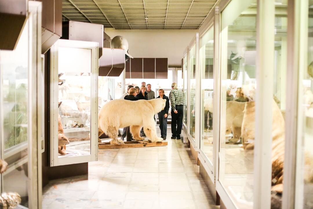 Kasparas persikėlė į T.Ivanausko zoologijos muziejų
