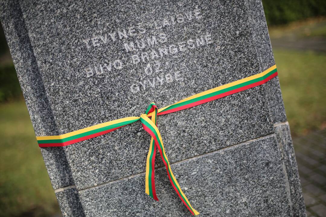 Prieš Vėlines pagerbti karių kapai