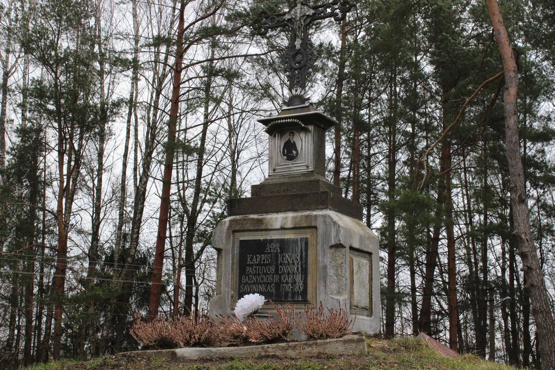 Legenda: šis medis esą išaugo iš rykštės, kuria buvo užplakta I.Karpio mylimoji