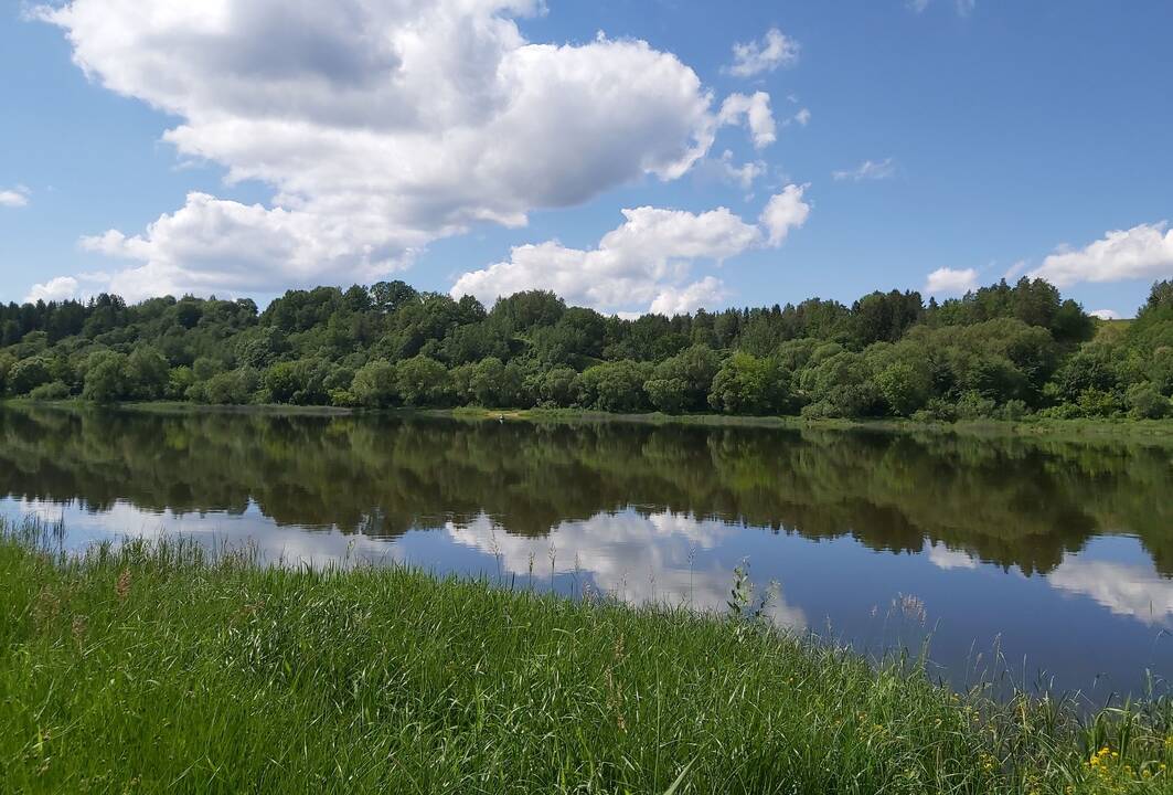 Vaizdas: taip vasarą atrodo panemunė Virbaliūnuose ir taip ji gali pasikeisti.