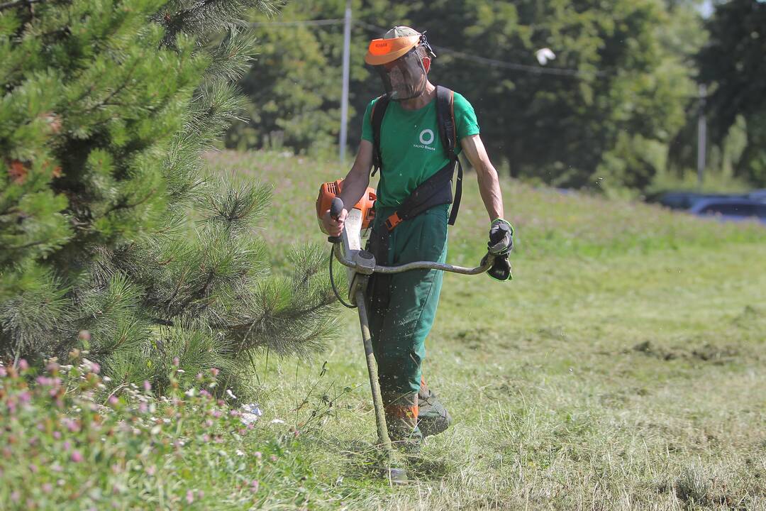 „Kauno švara“: šiltojo sezono rūpesčius verta patikėti profesionalams