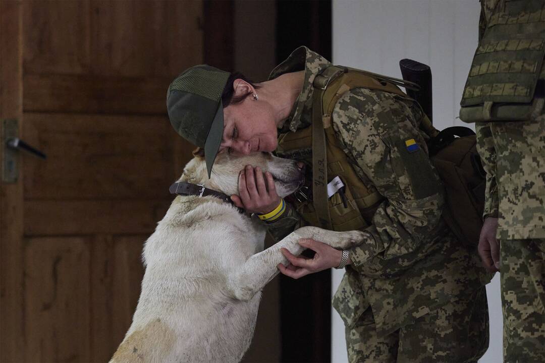 96-oji karo Ukrainoje diena