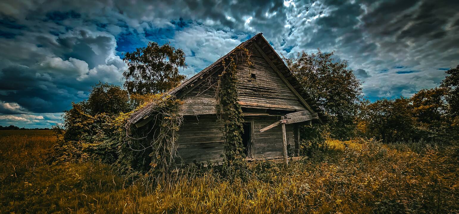 A. Verygos fotografijų paroda