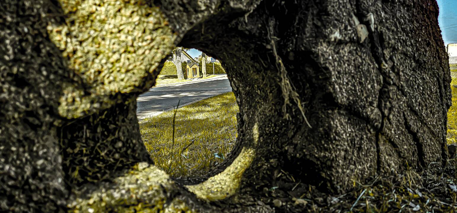 A. Verygos fotografijų paroda