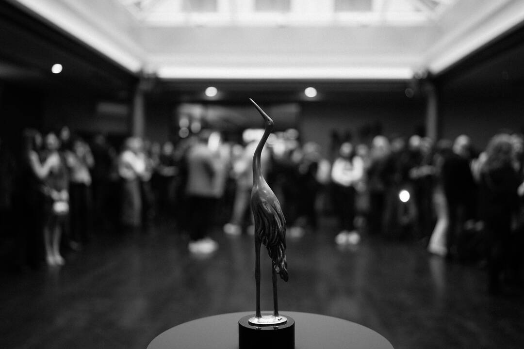 Paskelbti „Sidabrinių gervių“ nominantai