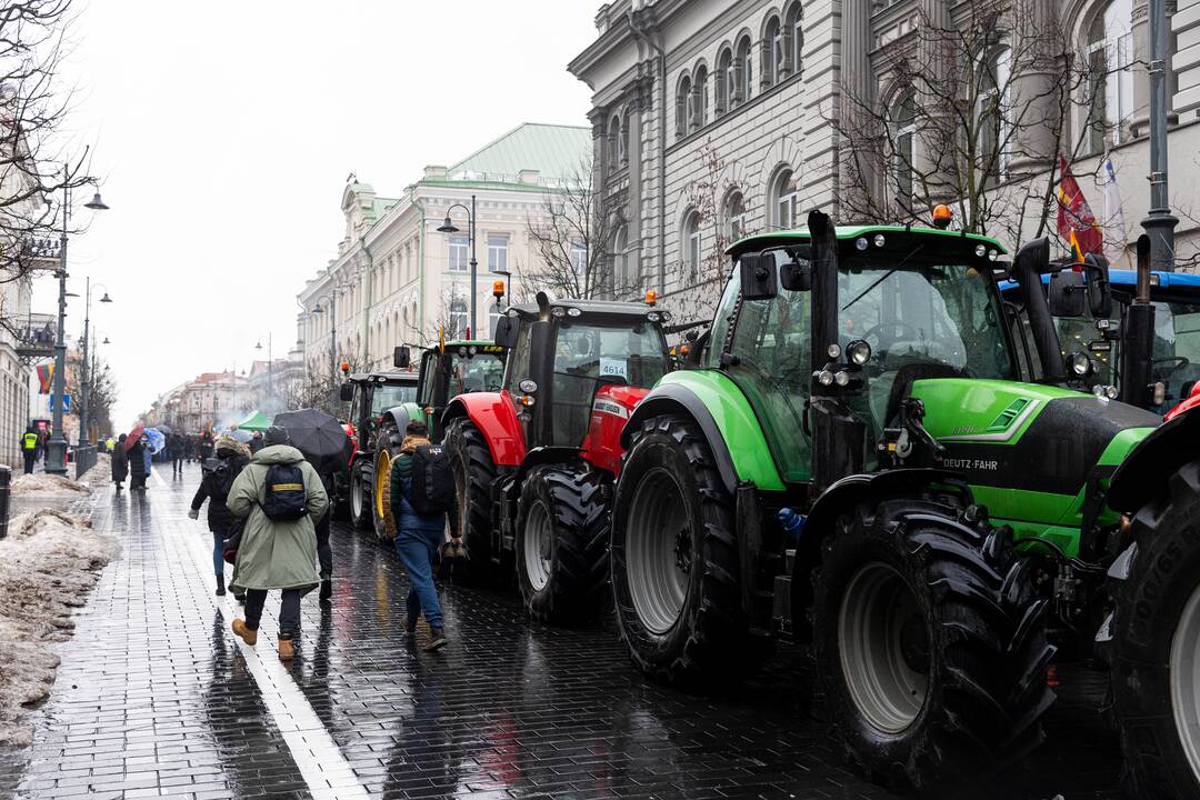 Vilniuje tęsiasi žemdirbių mitingas