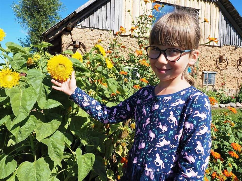 Pozityvu: saulėgrąžų augintojų šešetukas niekada neliūdi.