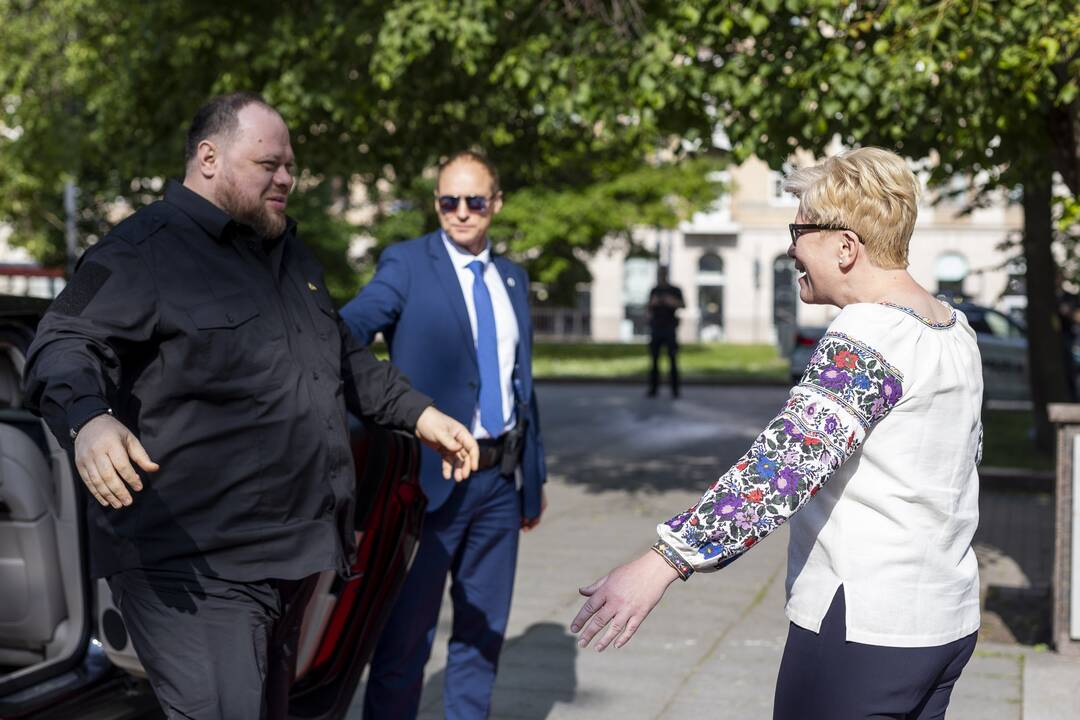 I. Šimonytė susitiko su Ukrainos Aukščiausiosios Rados Pirmininku R. Stefančiuku