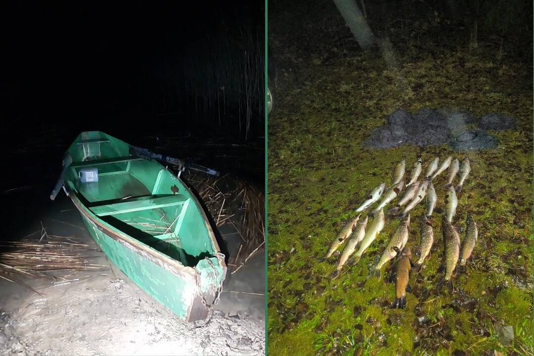 Taip ir nepasimokiusiems brakonieriams – ne tik baudos