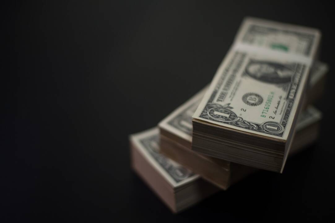 JAV komisija kaltina lietuvį sukčiavimu: pasisavino 4 mln. dolerių