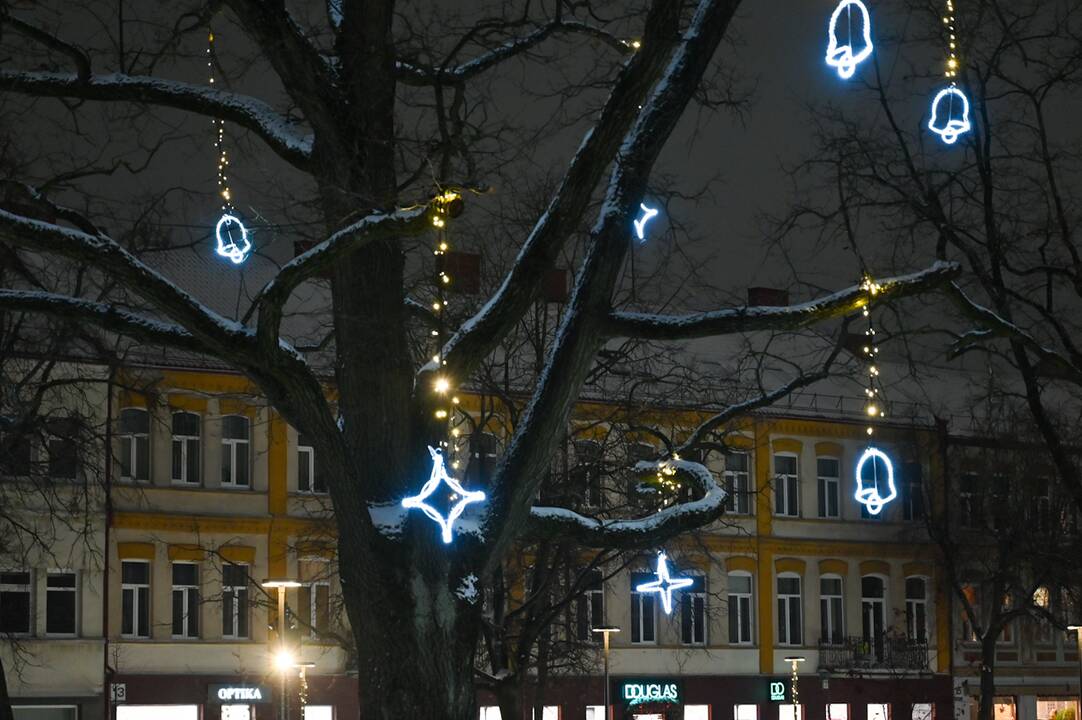 Panevėžio Kalėdų eglės įžiebimas 2023