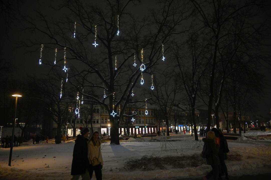 Panevėžio Kalėdų eglės įžiebimas 2023