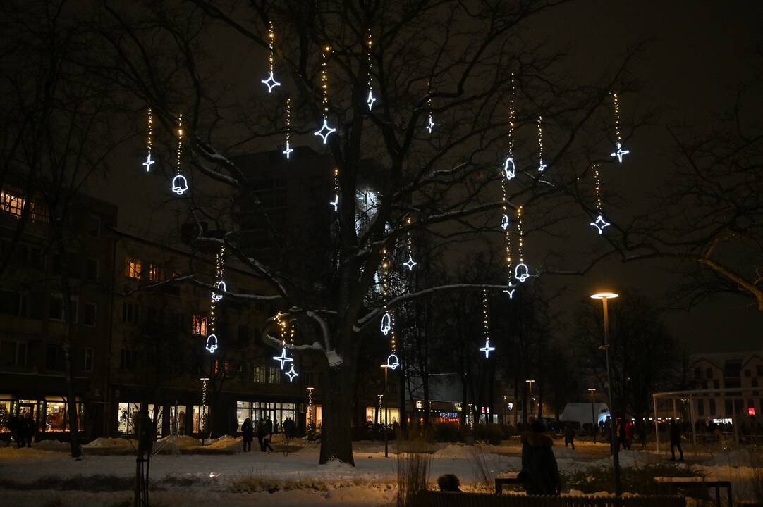 Panevėžio Kalėdų eglės įžiebimas 2023
