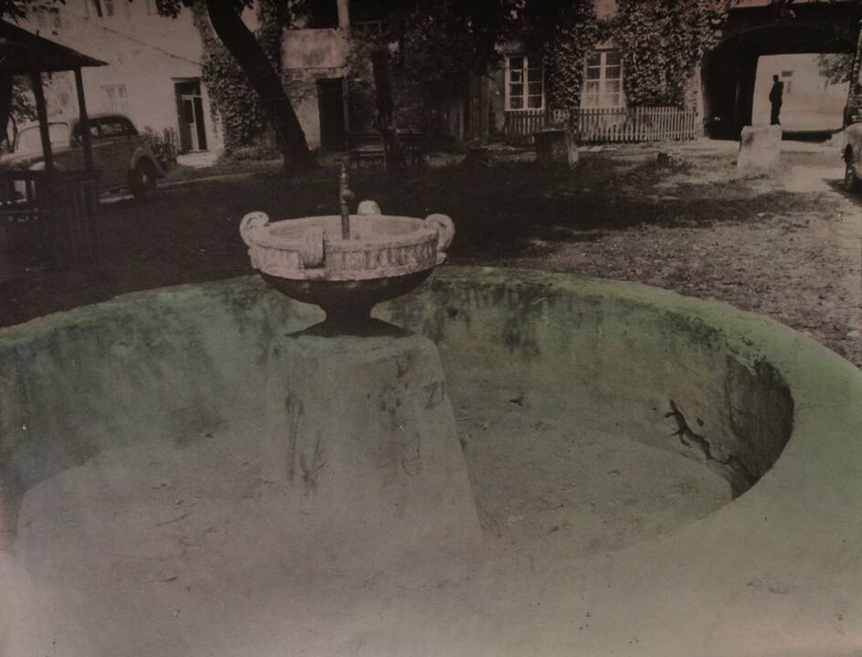 Portretas: fotografijos chuliganu S.Paukštys liko net ir pasibaigus kūrybiniam "Plėšriųjų sekcijos" etapui.