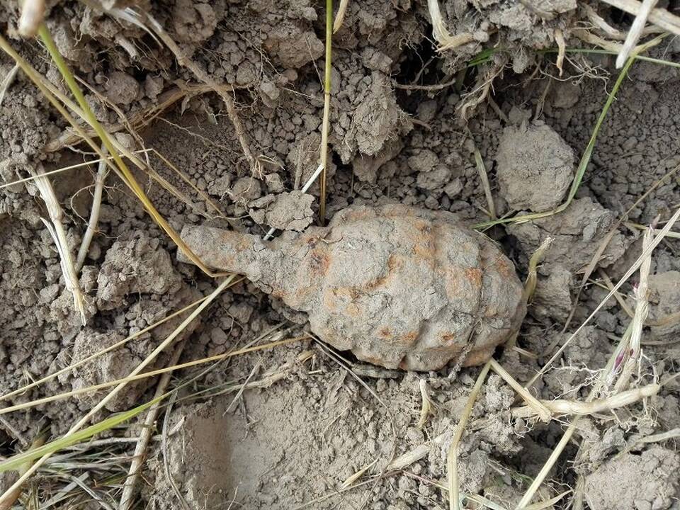 Vištyčio ežero pakrantėje aptikta pavojinga granata