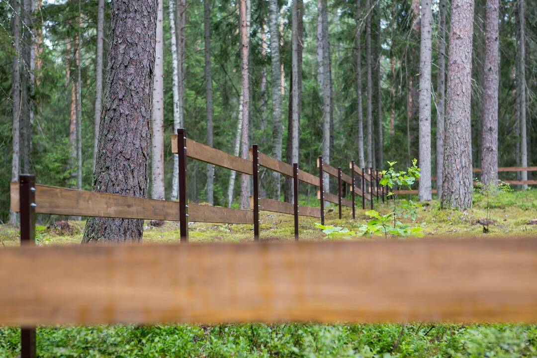 Kartu: Zapyškio seniūnaičių pirmininkas M.Danėnas rezga mintį, kaip sukurti zonų, skirtų vaikų, paauglių, jaunimo, jaunų šeimų aktyviam laisvalaikiui.