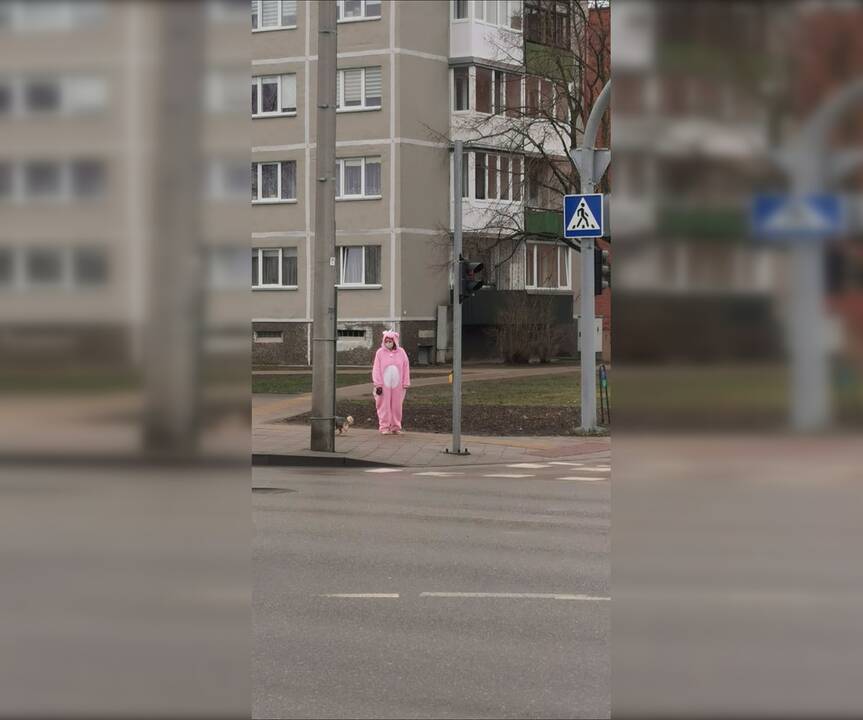 Jolita