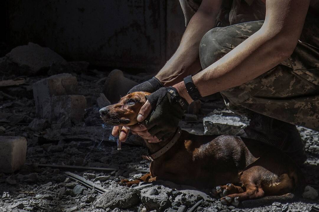 Balkanų šalys perspėja Ukrainą neturėti iliuzijų dėl ES