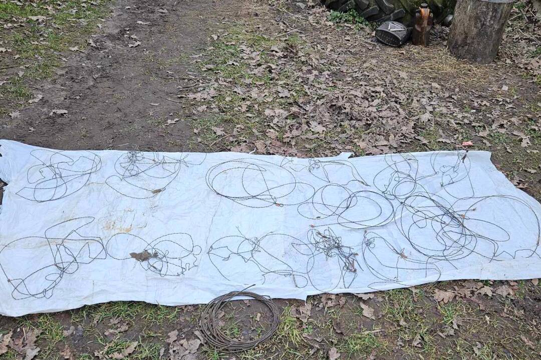 Šilalės rajone nubausta moteris: sodyboje laikė 14 kilpų laukiniams gyvūnams gaudyti