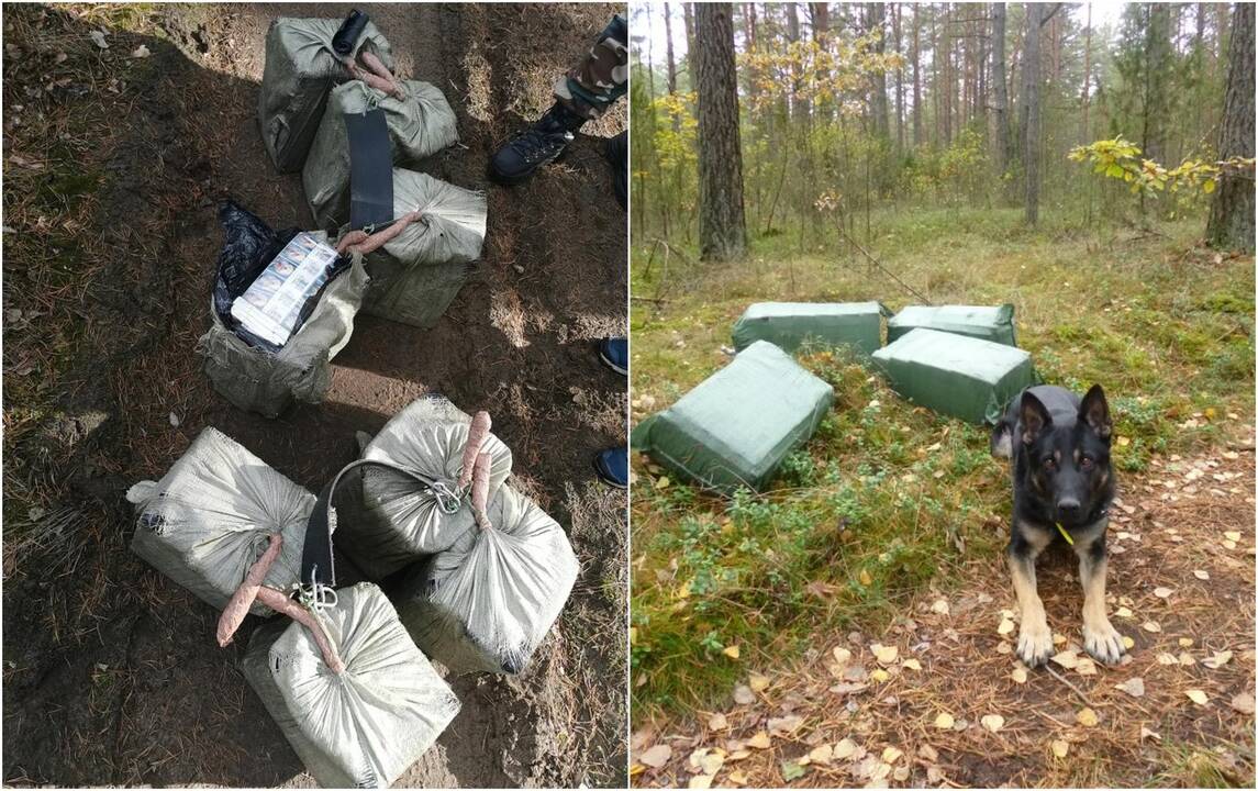 Druskininkuose cigarečių kontrabandininkus padėjo sulaikyti pasieniečių šuo