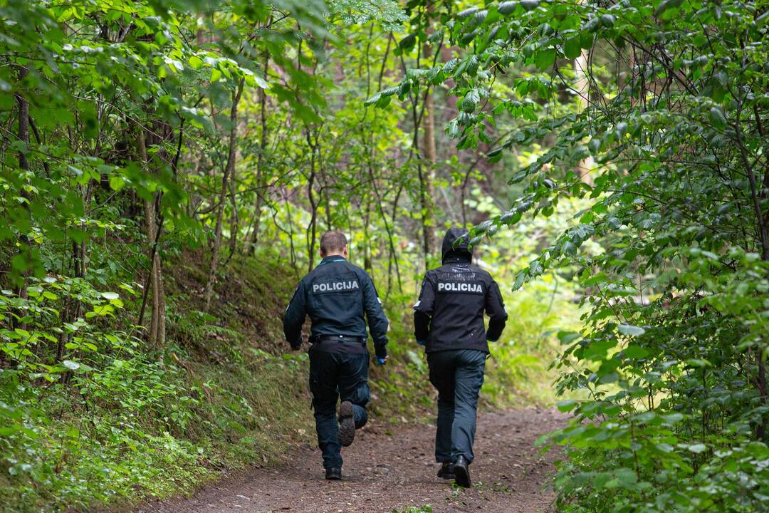 Tauragės miške rastas jaunos moters lavonas: šalia – kuprinė ir dokumentas