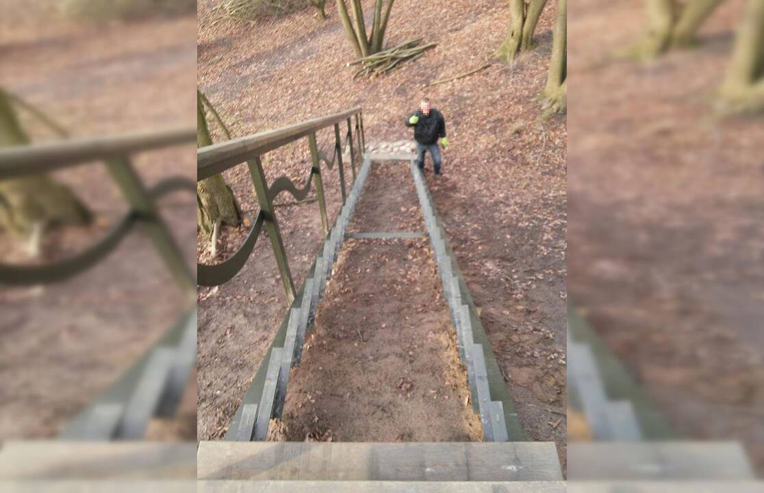 Apie vagystę: žiema ne tokia ir šalta, bet kažkam vis tiek prireikė medienos