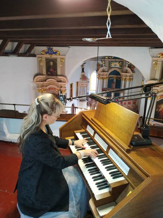 Talentai: visi Neverauskai groja tokia gausybe instrumentų, kad net išvardyti juos sunku. O kai šeimyna tokia muzikali, mažiau skauda širdį, kad mokami koncertai per brangūs, juk gali rengti juos patys.