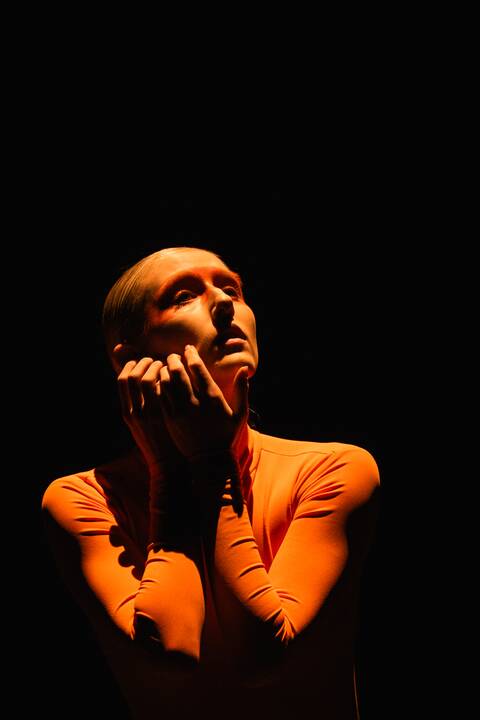 Klaipėdos valstybinis muzikinis teatras pristatė šokio spektaklių premjerą „Hommage à Čiurlionis“