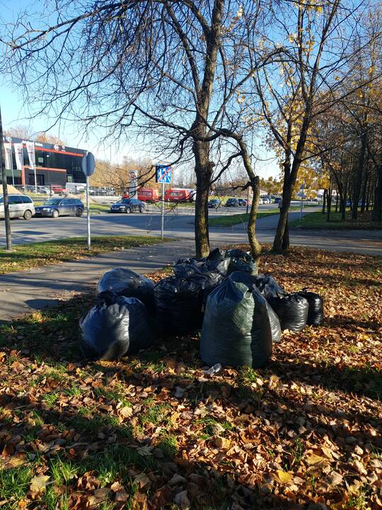Kauniečiai ne vietoje palieka šiukšles ir juodų maišų kalnus