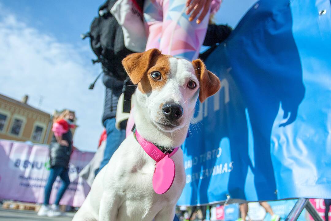 Rožinio kaspino bėgimas „Pink Run su BENU 2021“