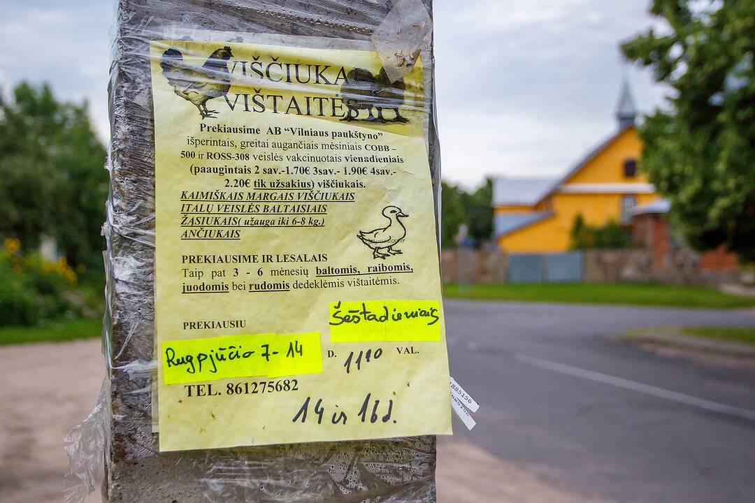 Pasienio su Baltarusija rajonų kasdienybė