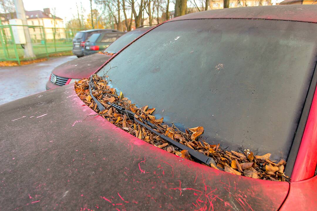 Apleisti automobiliai stovėjimo aikštelėje Žaliakalnyje