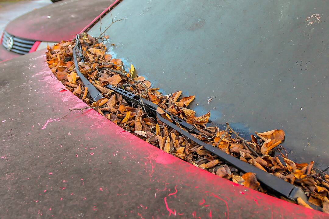 Apleisti automobiliai stovėjimo aikštelėje Žaliakalnyje