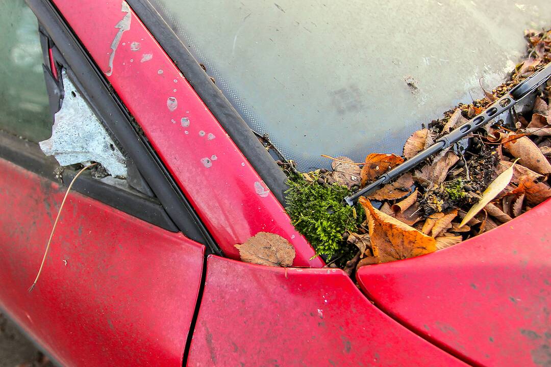 Apleisti automobiliai stovėjimo aikštelėje Žaliakalnyje