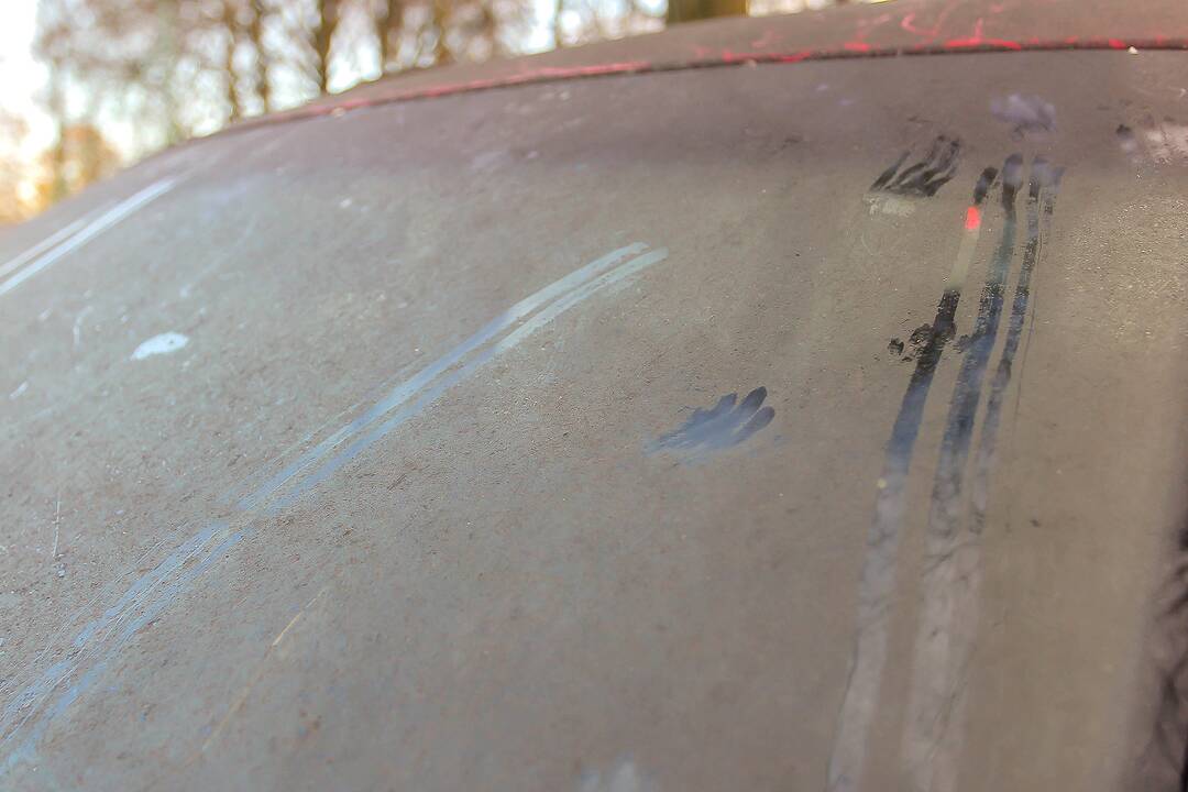 Apleisti automobiliai stovėjimo aikštelėje Žaliakalnyje