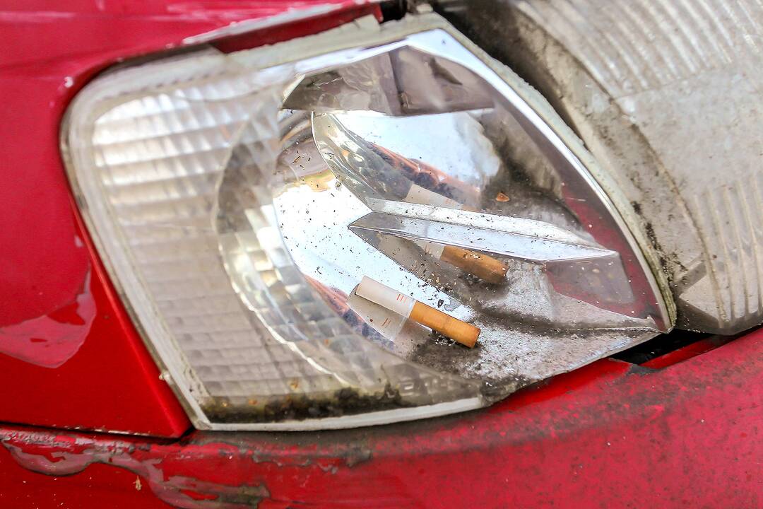 Apleisti automobiliai stovėjimo aikštelėje Žaliakalnyje