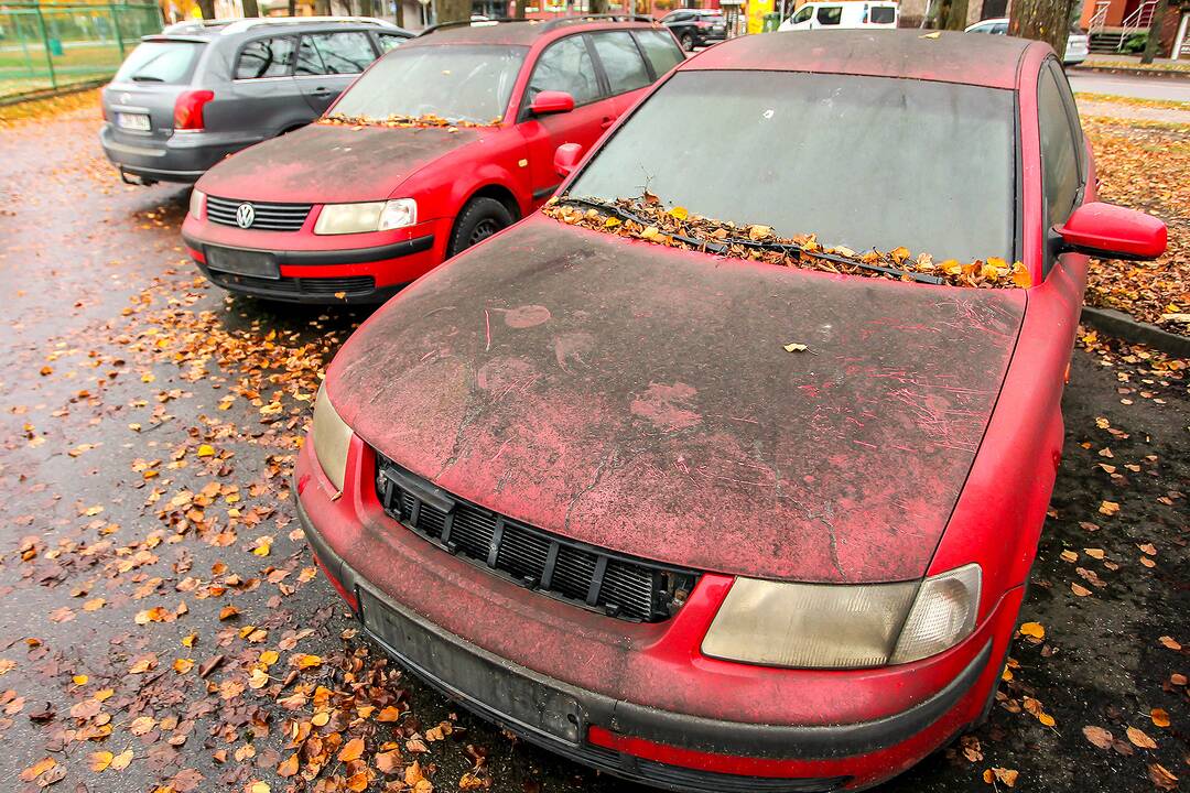 Apleisti automobiliai stovėjimo aikštelėje Žaliakalnyje