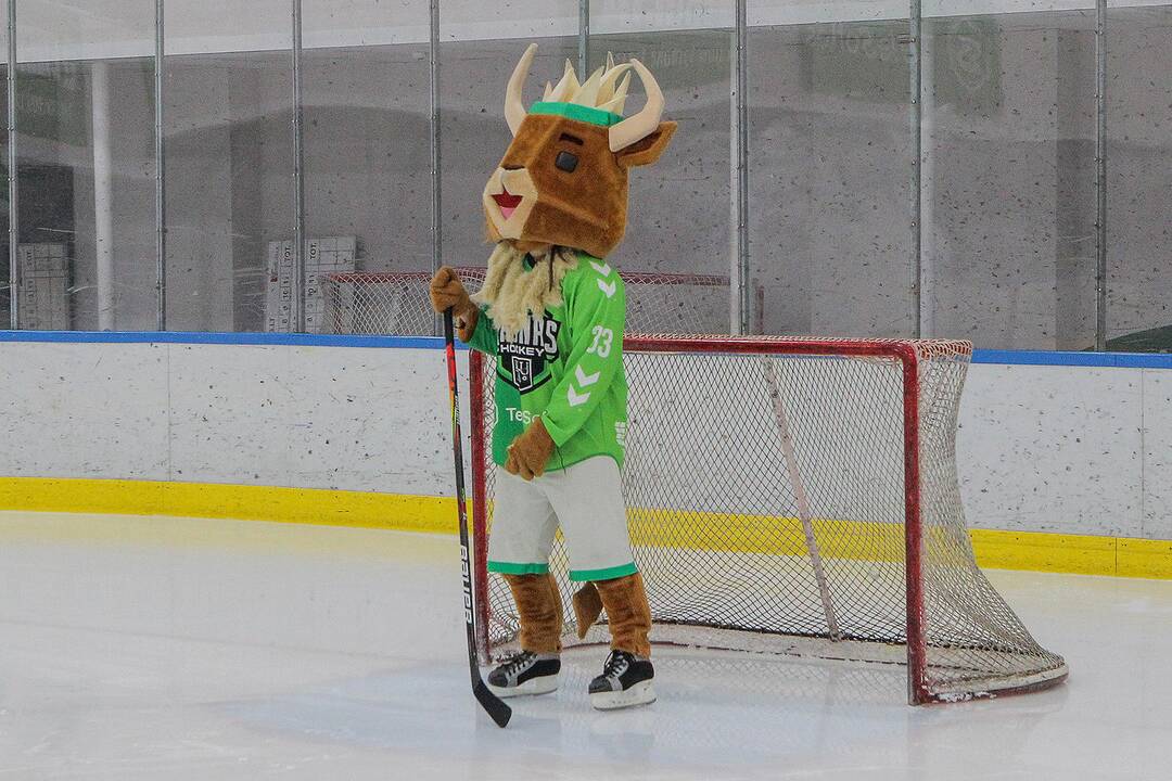 L. ritulys: „Kaunas Hockey“ – „Hockey Punks“ 9:3